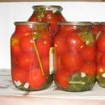 Малосольные помидоры красные или зеленые - как быстро приготовить в домашних условиях по рецептам с фото