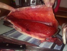 Как солить икру рыбы дома: рецепты и хитрости приготовления